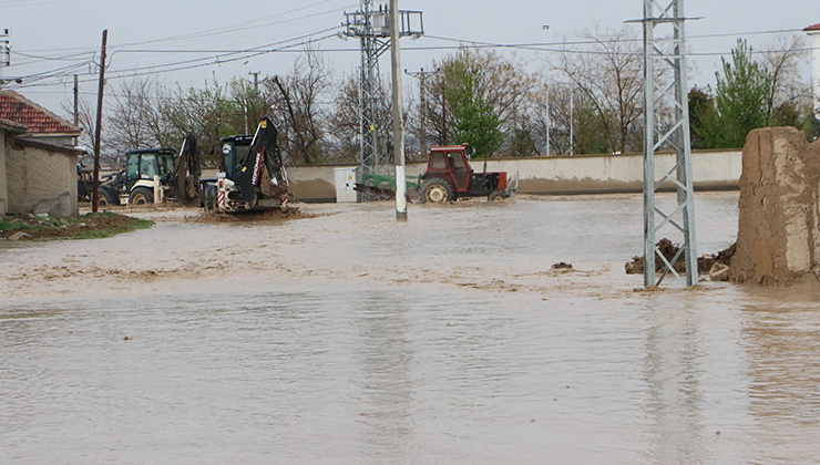 Yunak neden önemli? - Kapak Görseli