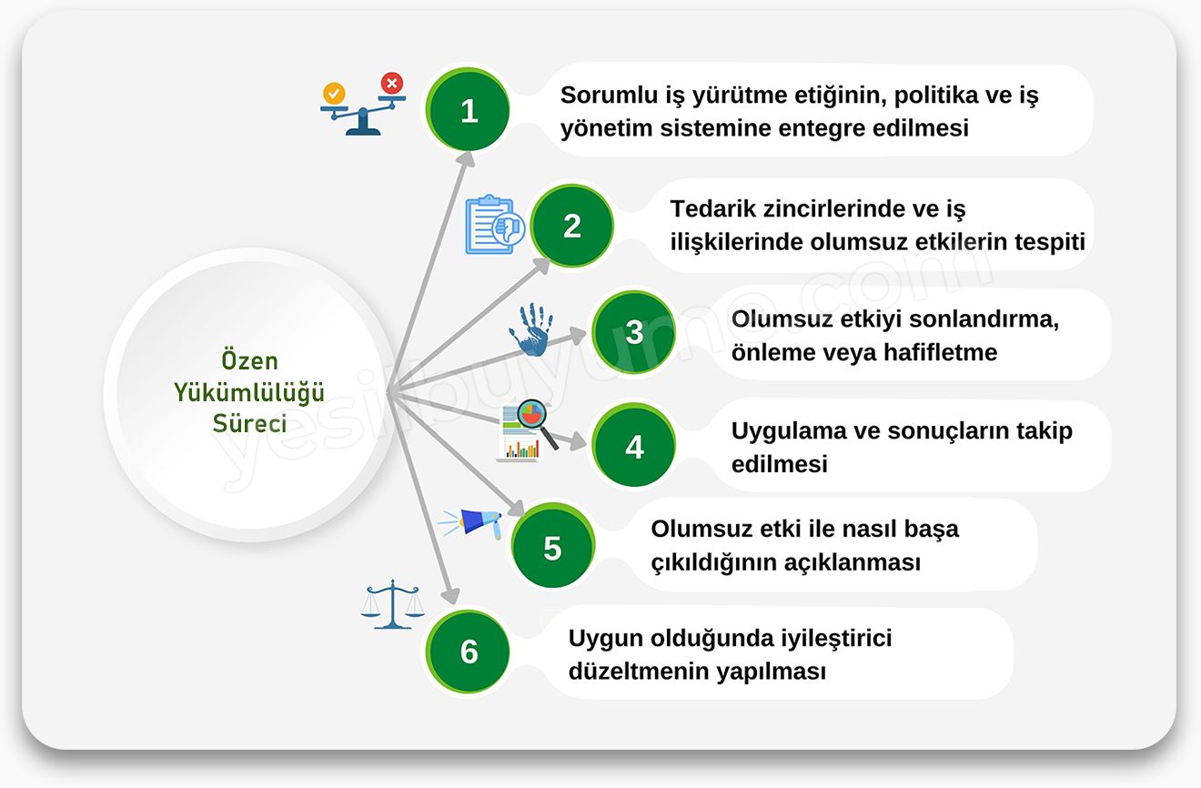 Sürdürülebilirlik Sorumluluğu Kimde? Uzman Bakışı [2026] - Kapak Görseli
