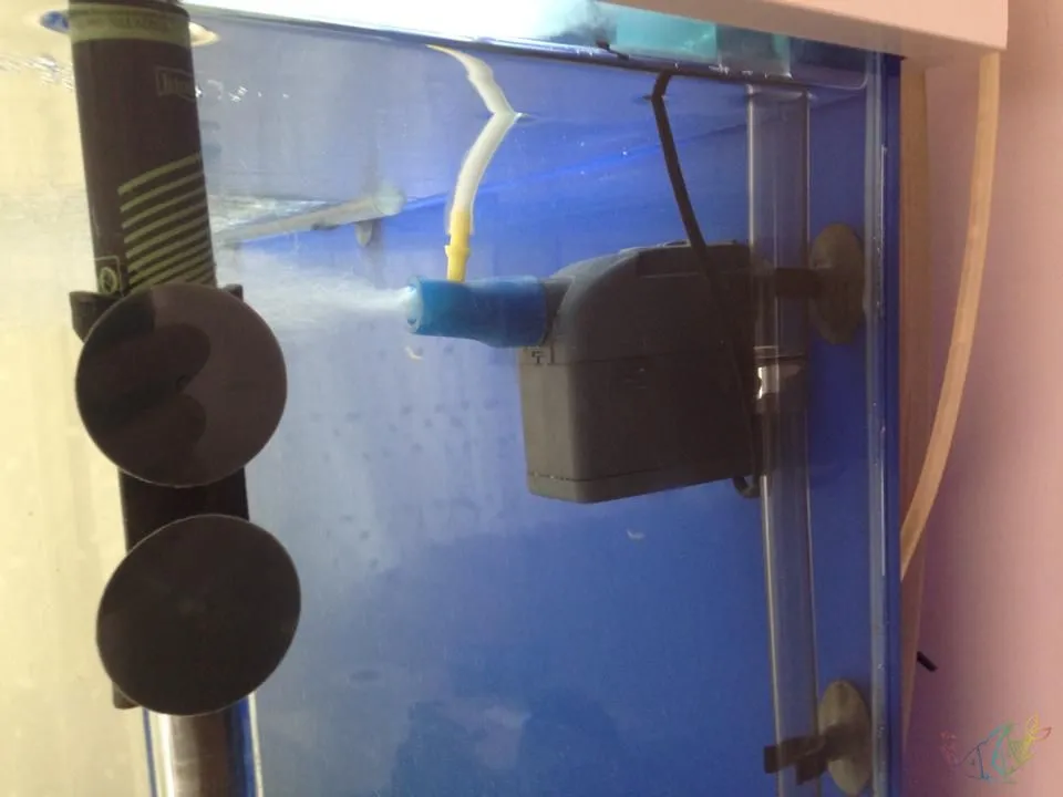 Kafa Motorunda Hava Kabarcığı: Nedenleri ve Kesin Çözümler - Kapak Görseli