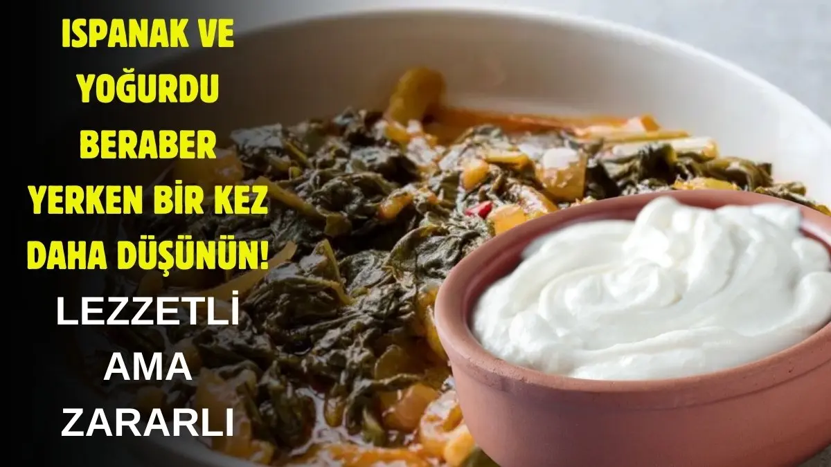 Yoğurtlu Ispanağın Faydaları Nelerdir? [Uzman Rehber 2026] - Kapak Görseli